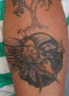 Hummingbird tattoo picture